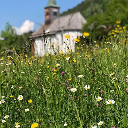 Mountain Oberjoch - Allgaeu Appartement