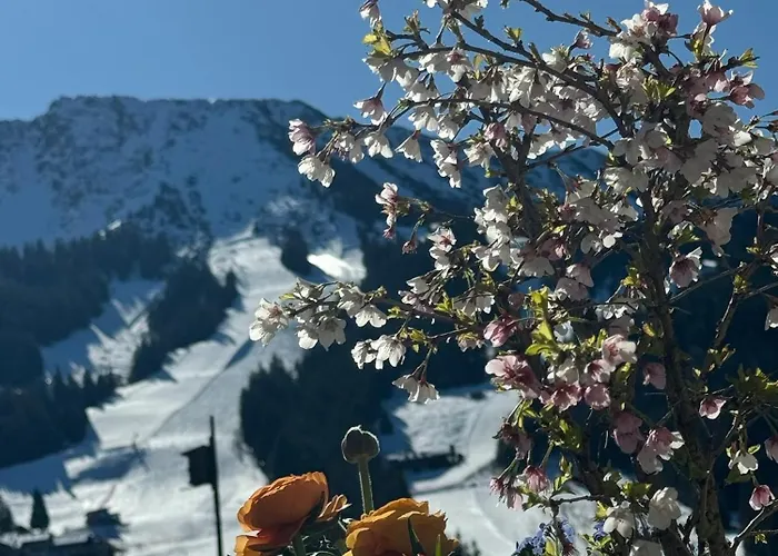 Apartamento Mountain Oberjoch - Allgaeu
