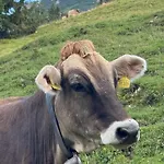 Mountain Oberjoch - Allgäu