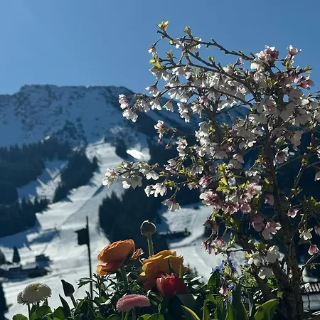 Apartment Mountain Oberjoch: Premium Wellness With Private Saunas In Allgäu Area
