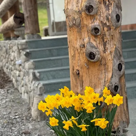 Mountain Oberjoch: Premium Wellness With Private Saunas In Allgäu Area * Bad Hindelang